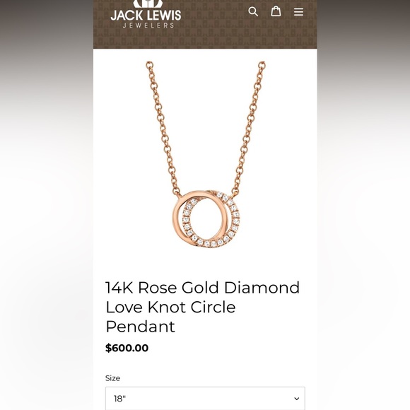 Necklace rose gold nwot
